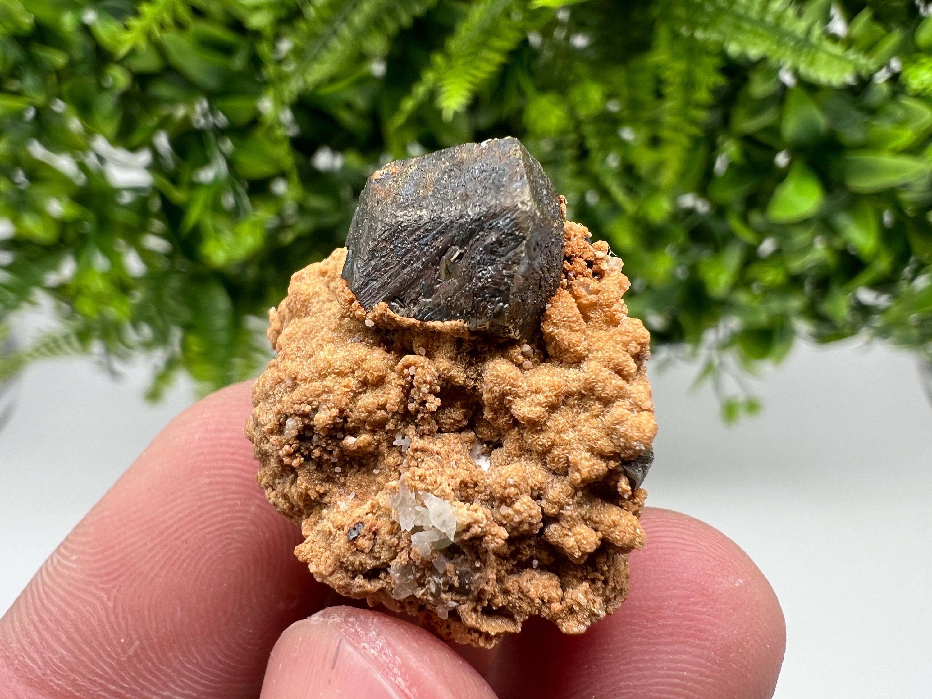 Chalcopyrite with Hematite on Siderite Specimen, Bulgaria Mineral Collection