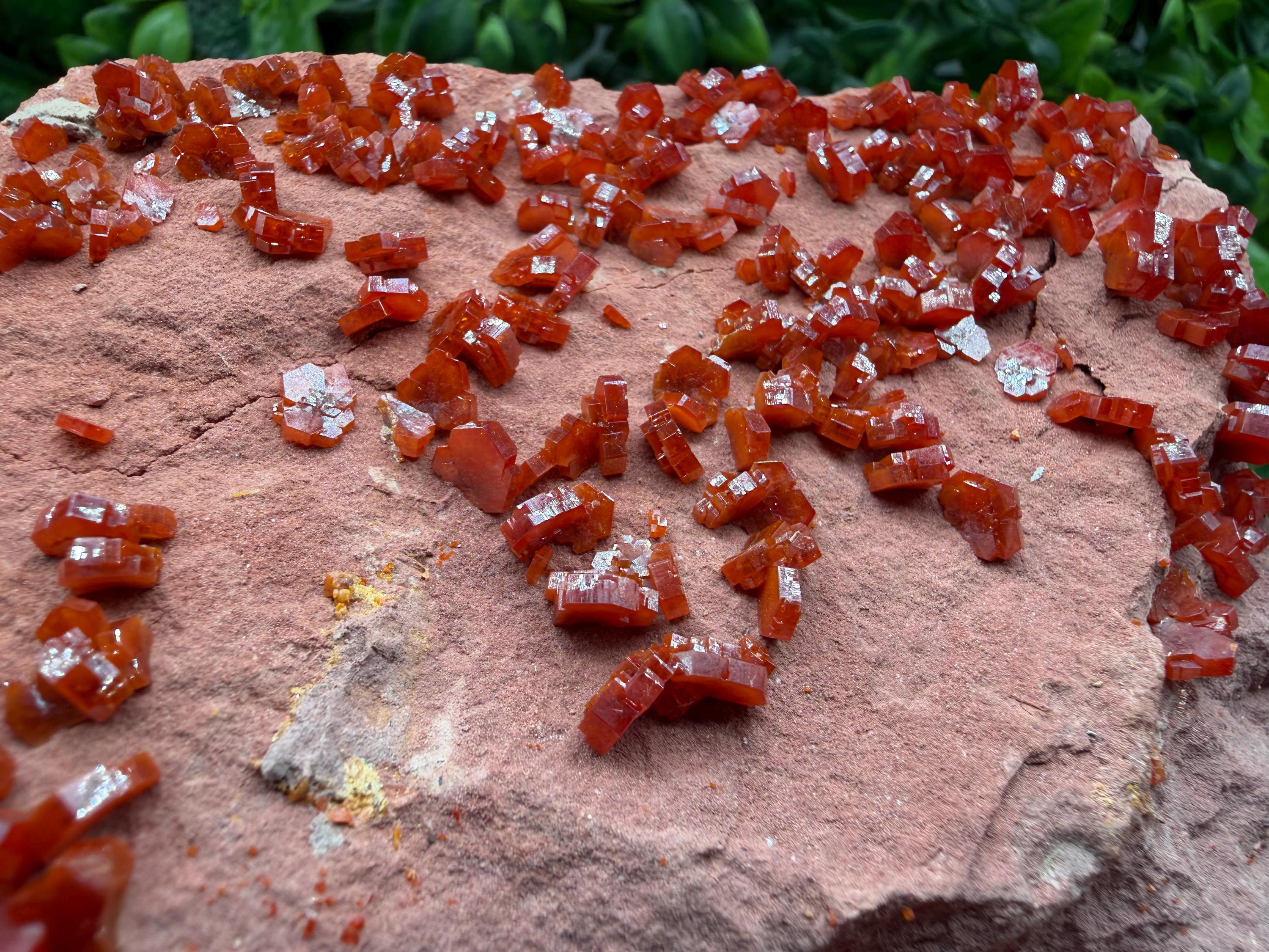 Red Vanadinite on Matrix from Marocco,crystal minerals Speciment cluster Vanadinite crystal Vanadinite Geology Vanadinite cluster minerals