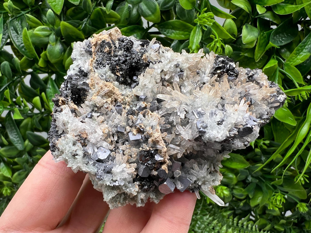Aesthetic Natural shiny Galena whit Siderite and Quartz from 9 th September mine,Bulgaria,collection specimen,rare galena,Galena cluster
