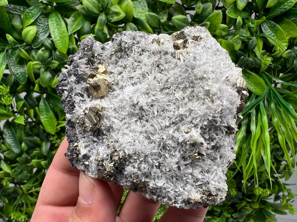 Rainbow Pyrite on Quartz, Natural Mineral Specimen, Borieva Bulgaria