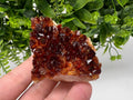 Brazilian Citrine Crystal Cluster, Hematite Inclusions