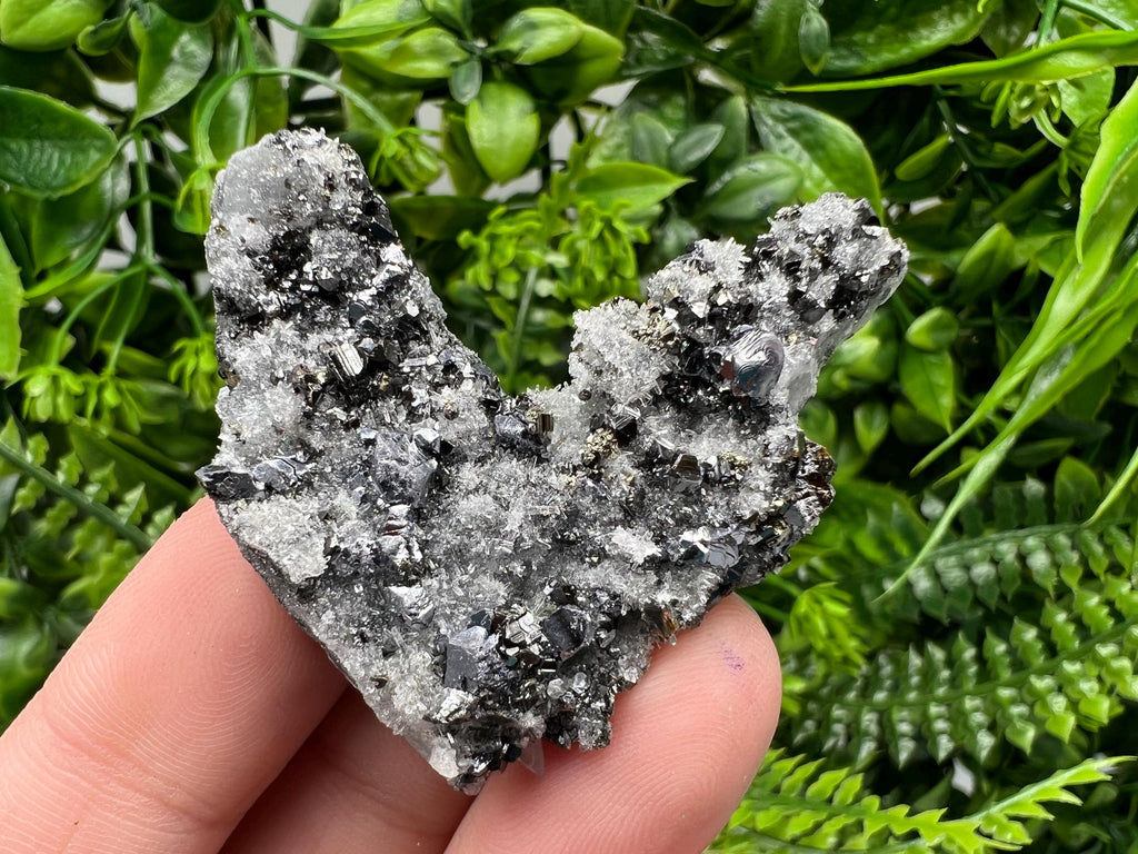 Galena Sphalerite on Quartz, Borieva Mine Bulgaria
