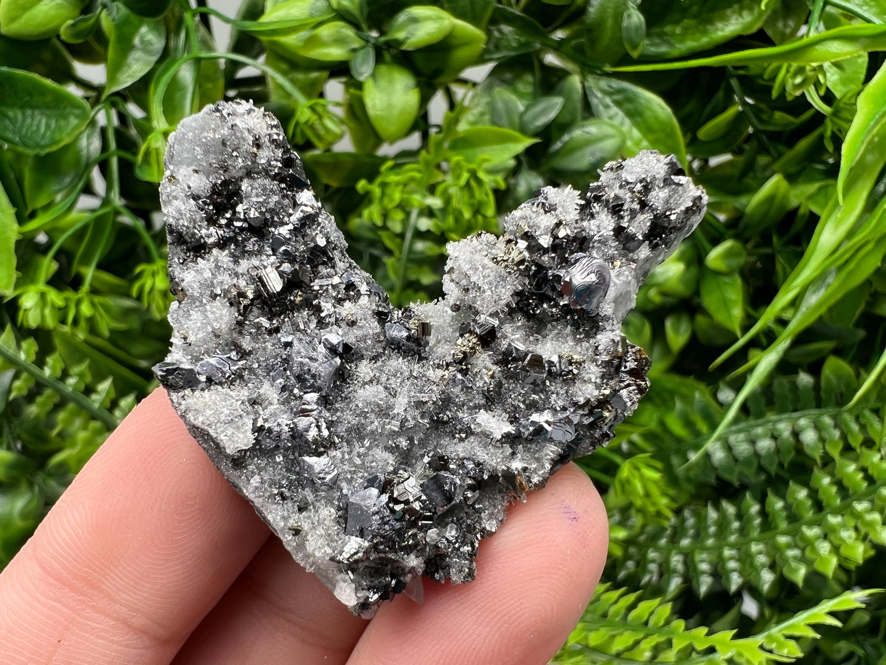 Galena Sphalerite on Quartz, Borieva Mine Bulgaria