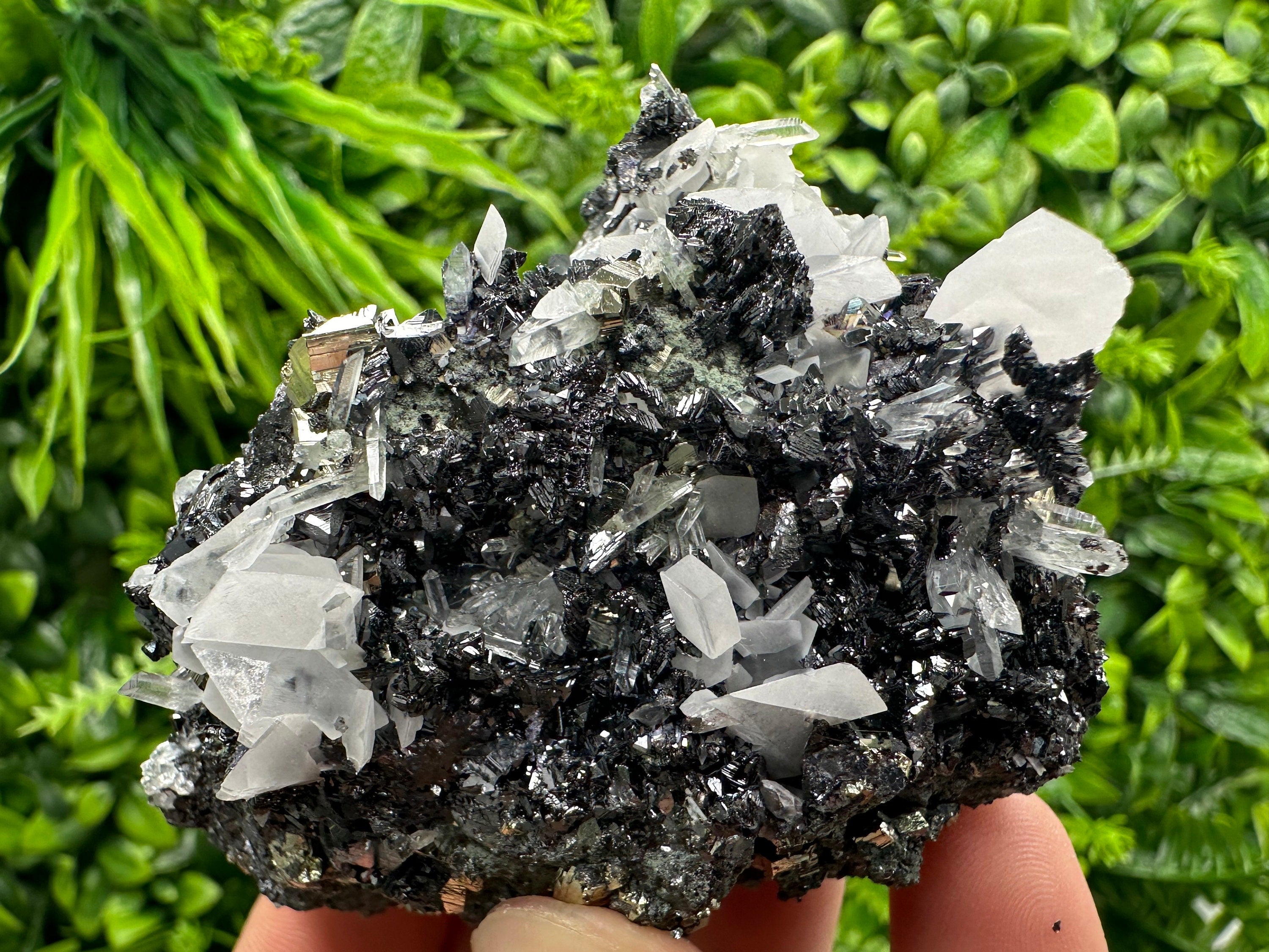 Pyrite Calcite on Sphalerite with Quartz, Borieva Mine Mineral Specimen