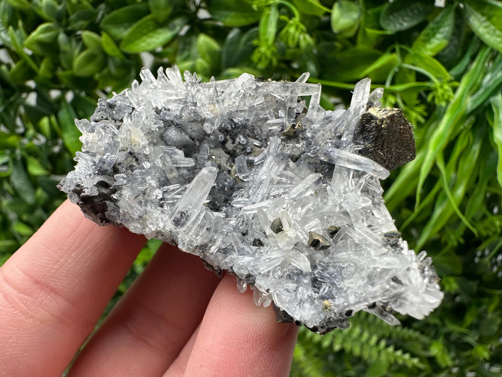 Wonderful Sphalerite Chalcopyrite on  Quartz whit Galena feom 9 th September mine,Bulgaria,natural,collection mineral specimen,gift