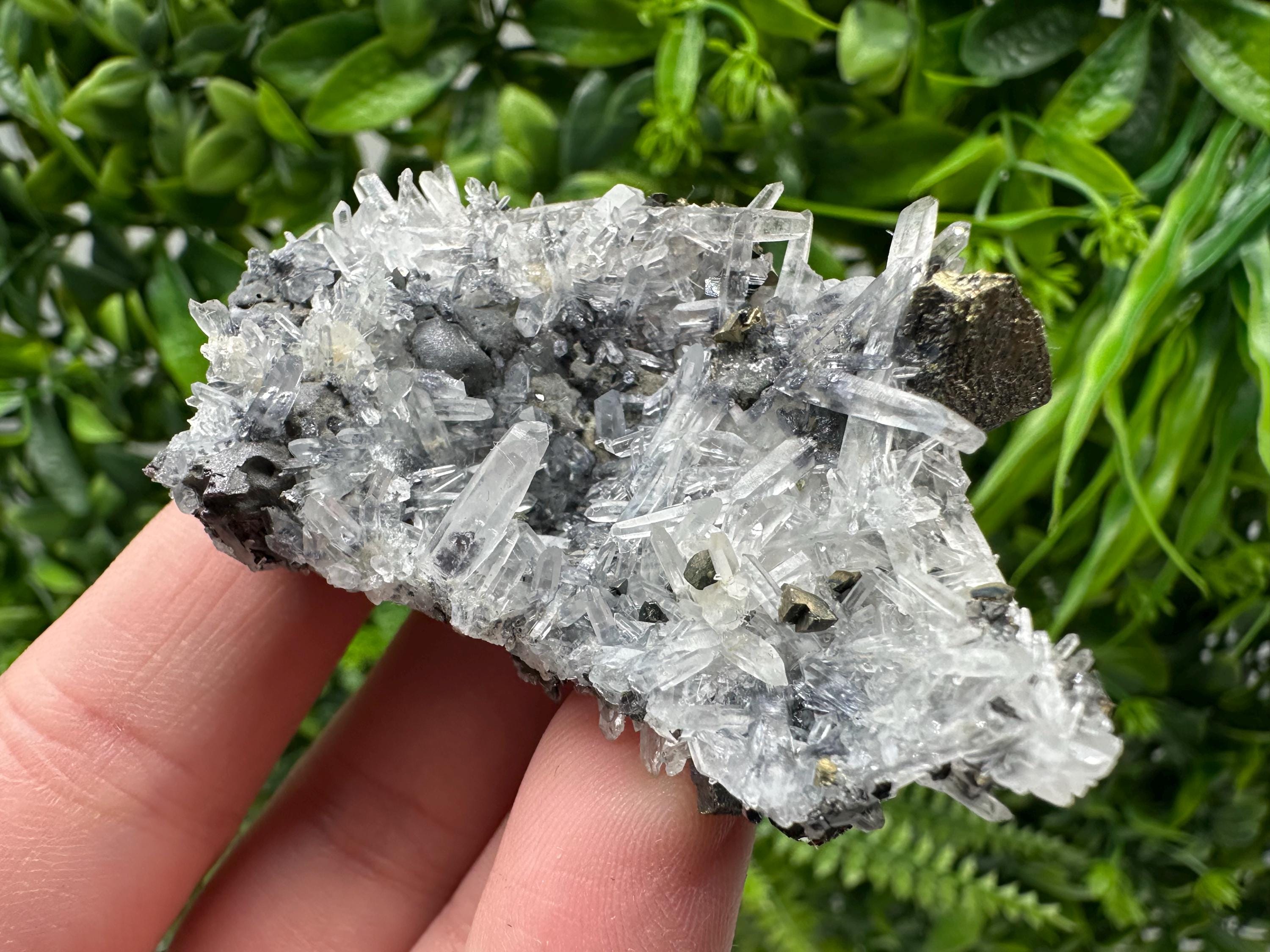 Wonderful Sphalerite Chalcopyrite on  Quartz whit Galena feom 9 th September mine,Bulgaria,natural,collection mineral specimen,gift