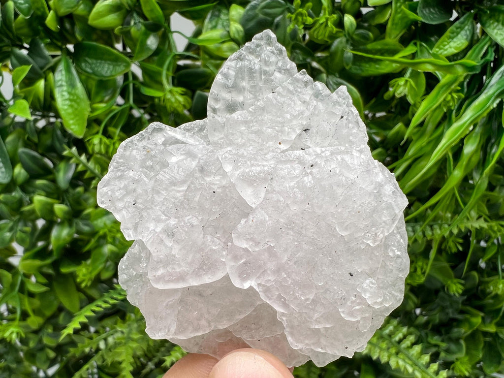 Mangano Calcite with Galena, Borieva Mine Crystal, Bulgaria
