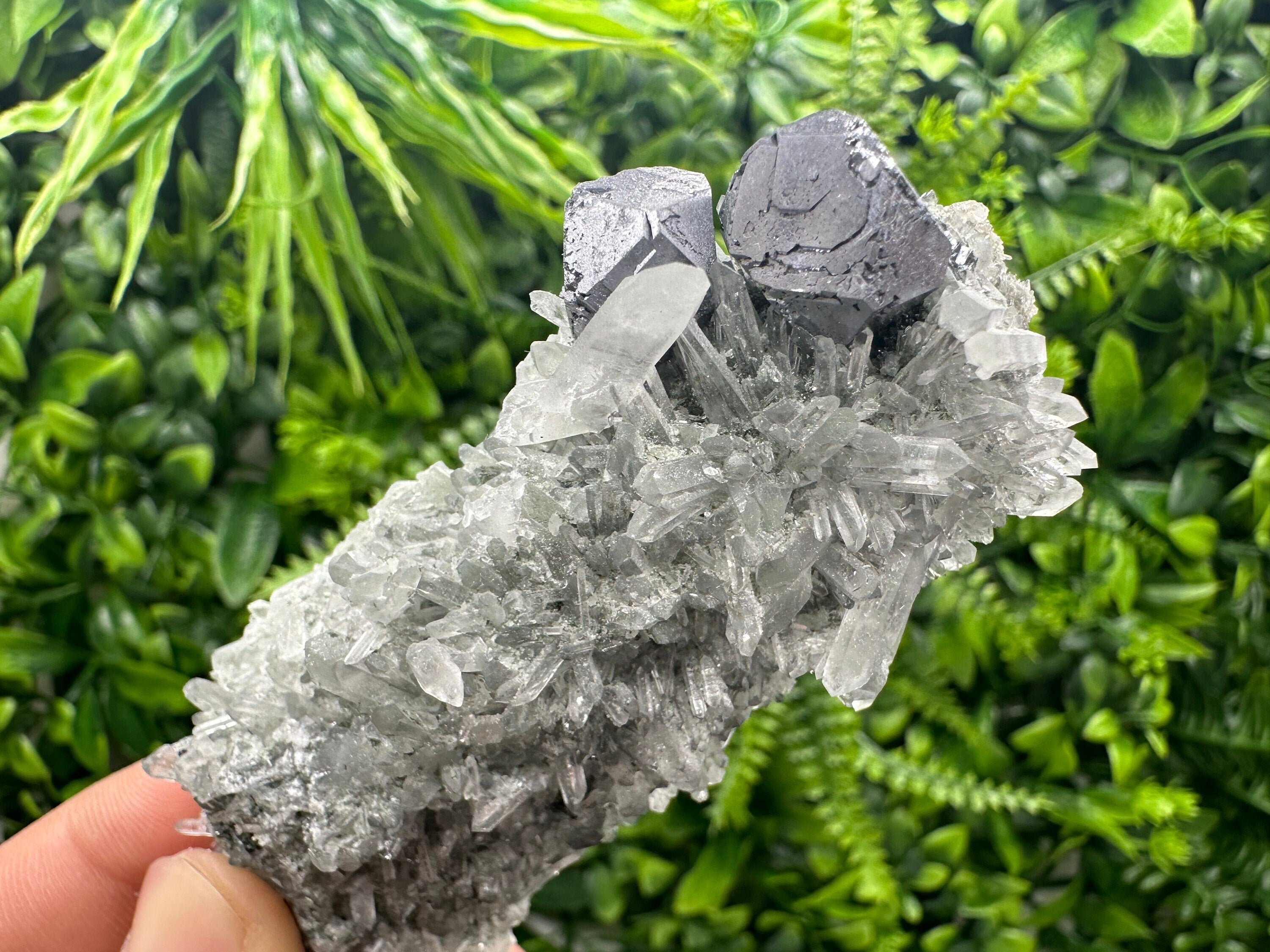 Shiny Galena on Green Quartz with Chlorite Inclusions - Borieva Mine