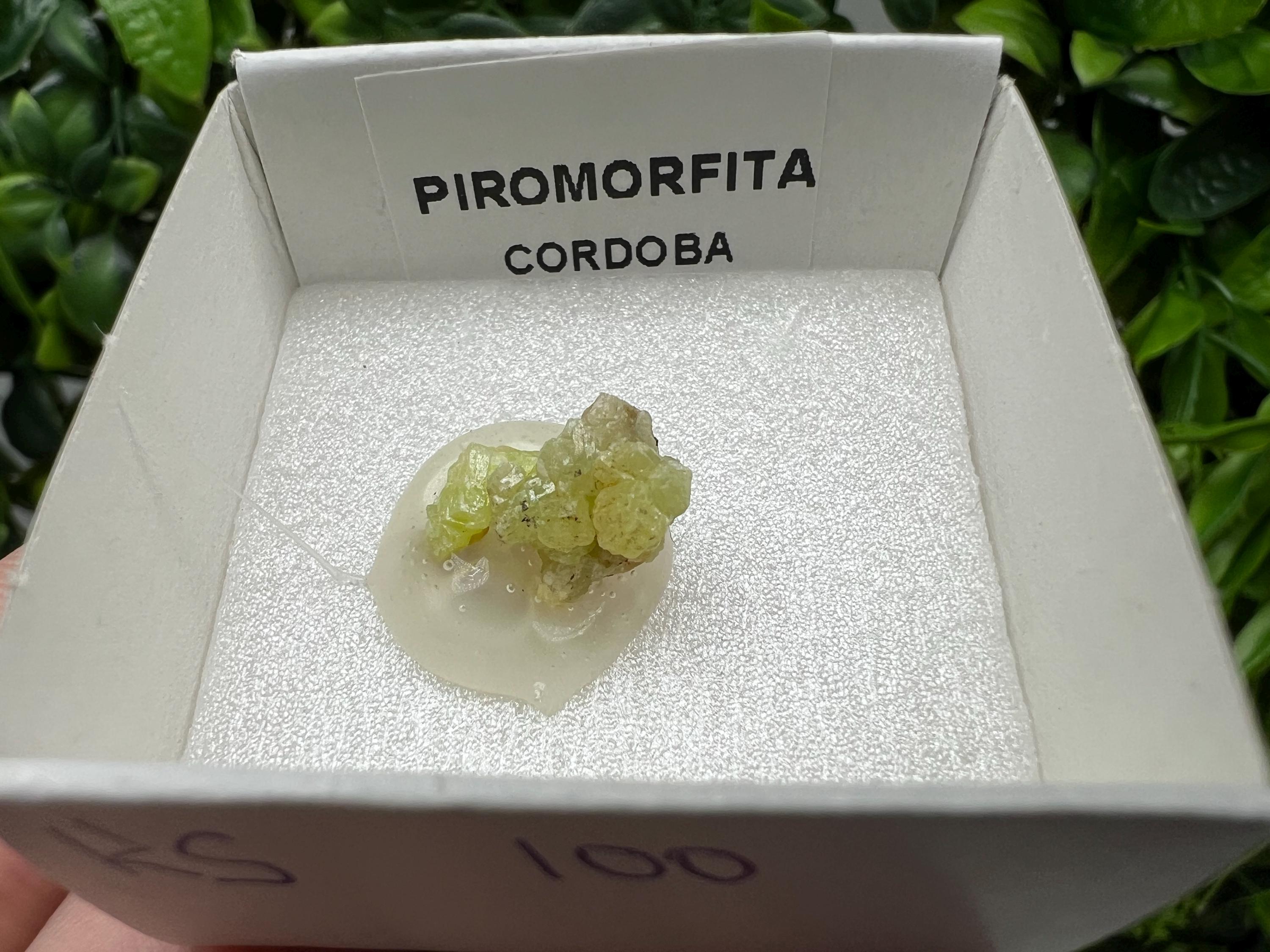 Pyromorphite Stone / Pyromorphite on Matrix / Pyromorphite Crystal / Raw Crystal / Pyromorphite Cluster / Rough Pyromorphite / Pyromorphite