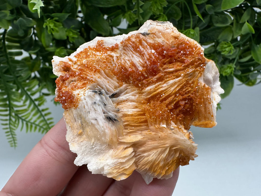 Red Vanadinite on Barite Crystal Specimen, Moroccan Mineral Cluster