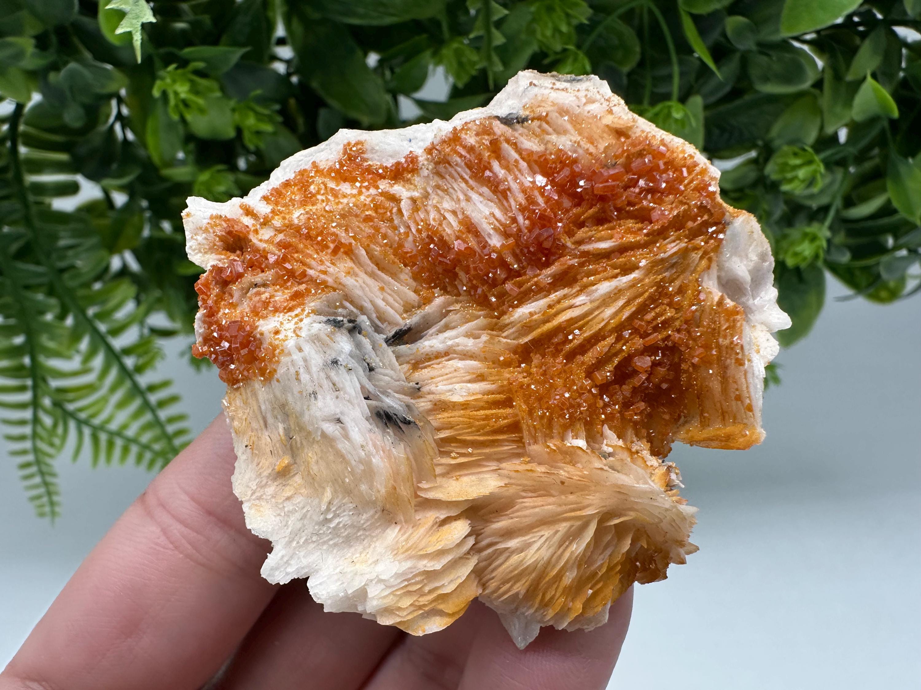 Red Vanadinite on Barite Crystal Specimen, Moroccan Mineral Cluster