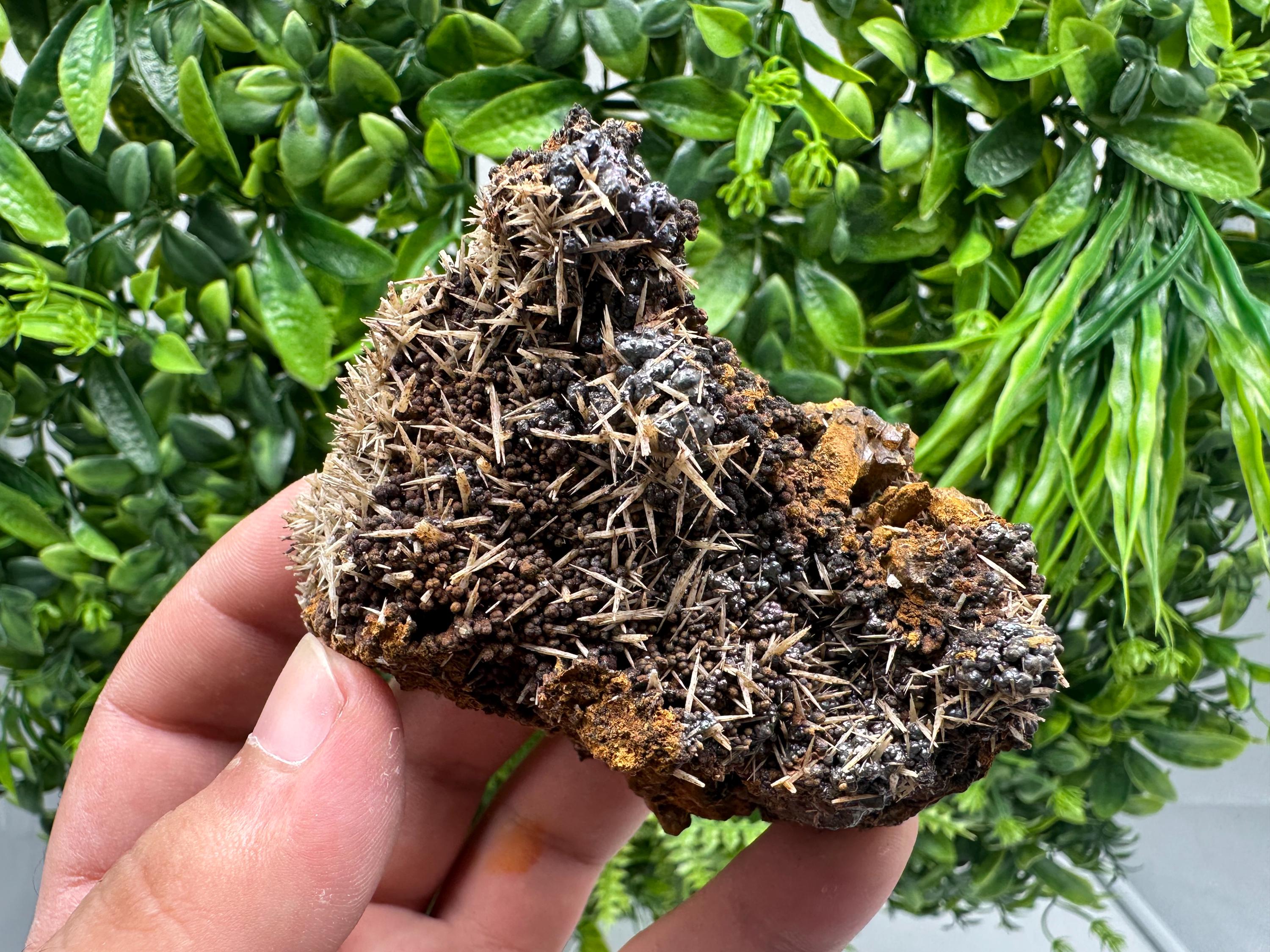 Rare Green/Yellow Pyromorphite and Hematite on Quartz, Bulgaria Mineral