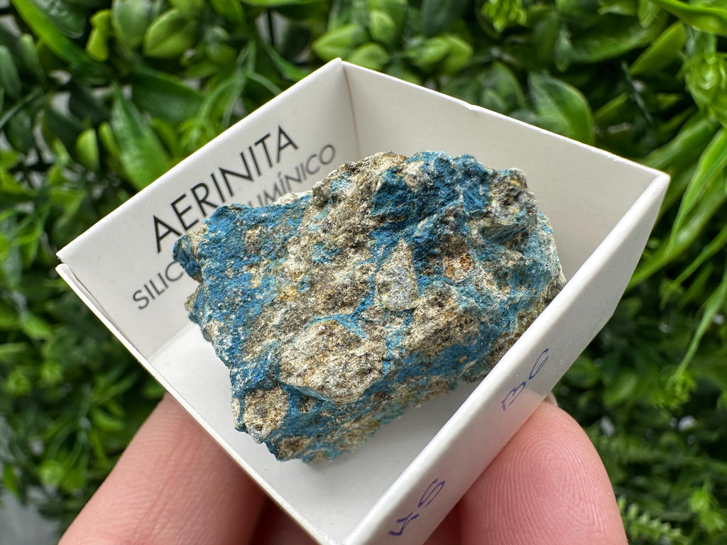 Rare Raw Aerinite Mineral Specimen: Lleida, Spain Crystal