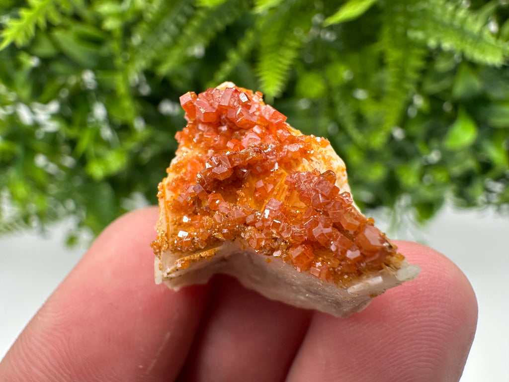 Red Vanadinite Crystal Cluster on Barite Matrix, Moroccan Mineral Specimen