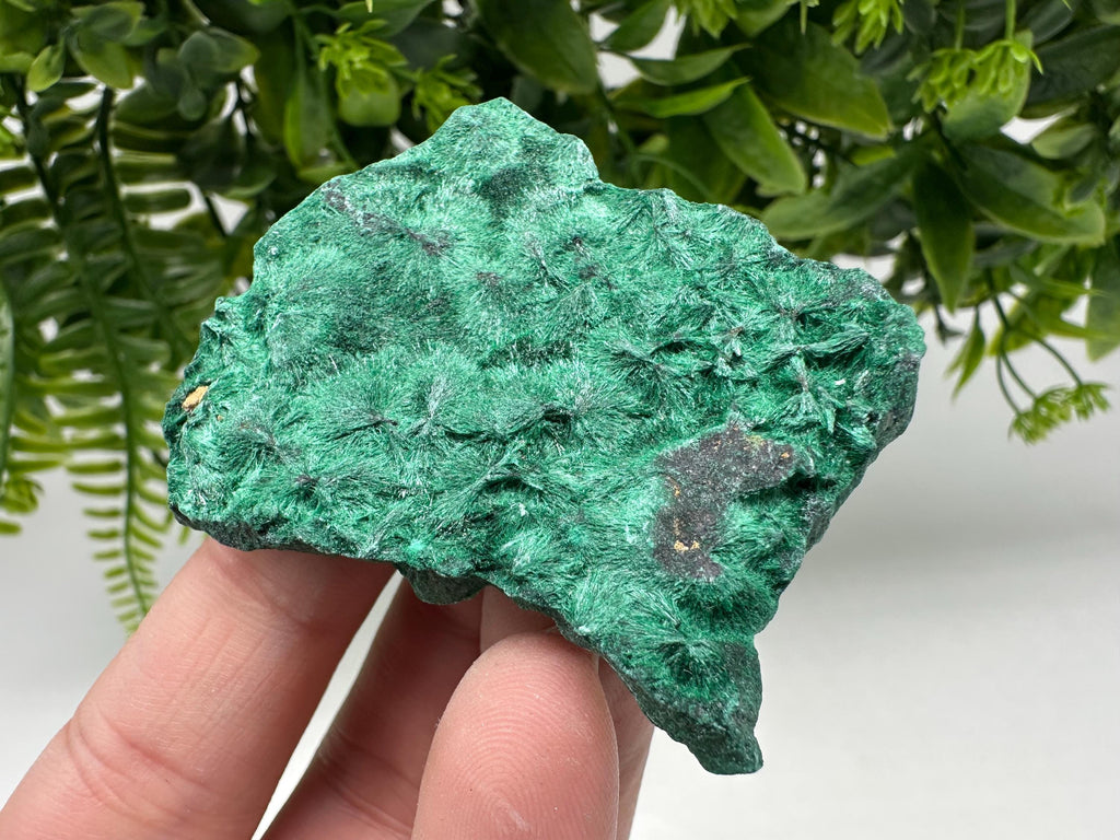 Polished Green Malachite Crystal from Congo, Natural Specimen, Chakra Stone