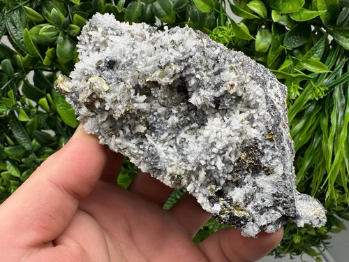 Chalcopyrite on Quartz Crystal: Borieva Mine, Bulgaria