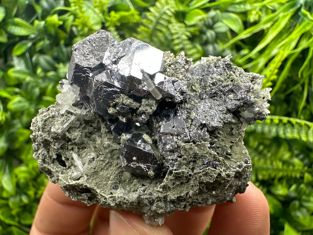 Galena on Quartz and Chlorite: Natural Minerals from Borieva Bulgaria
