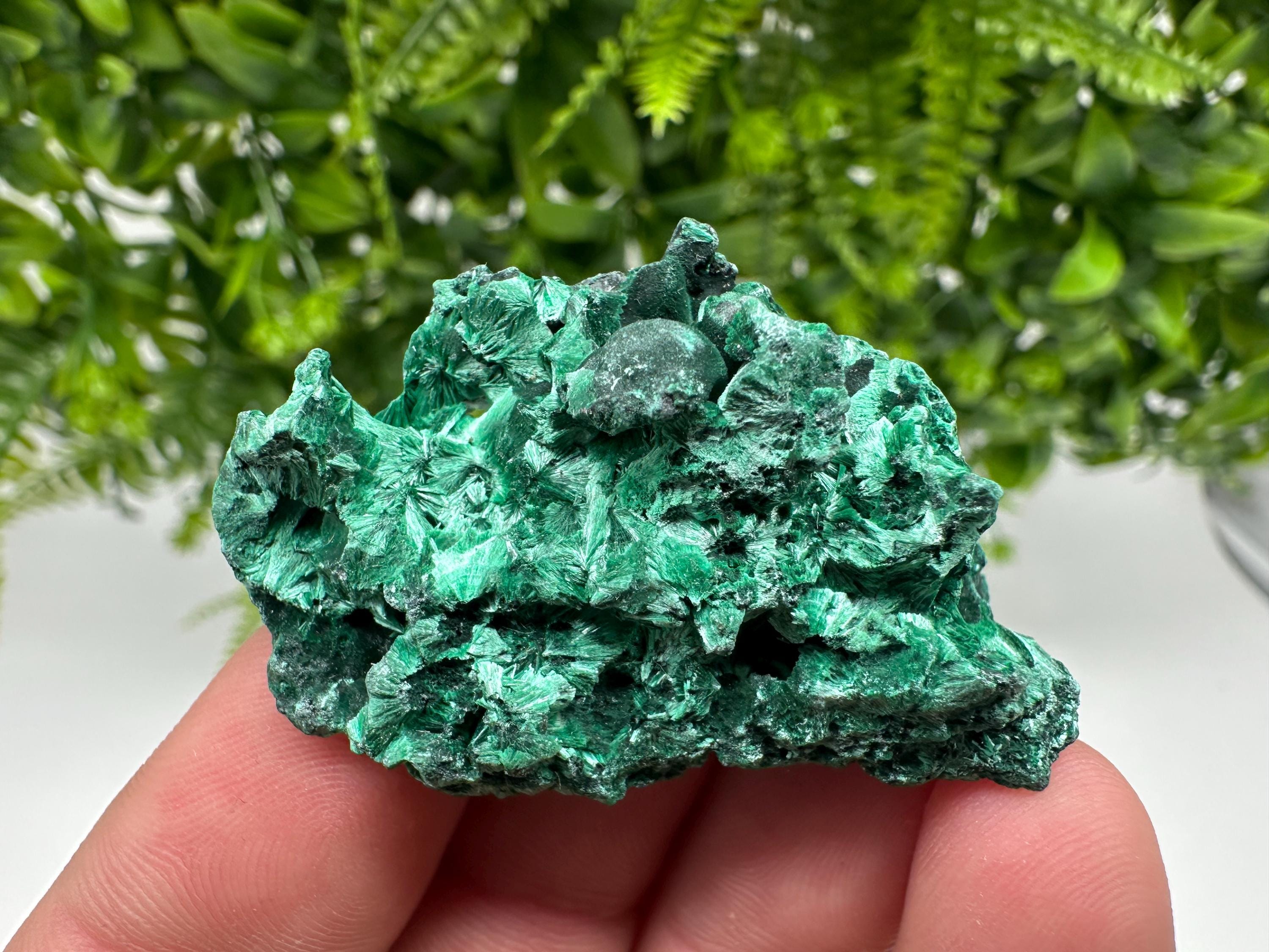Malachite Crystal from Congo,Minerals,Crystals from Congo,Green Malachite, Malachite,Natural Malachite,Malachite Stone,Chakra, Specimens
