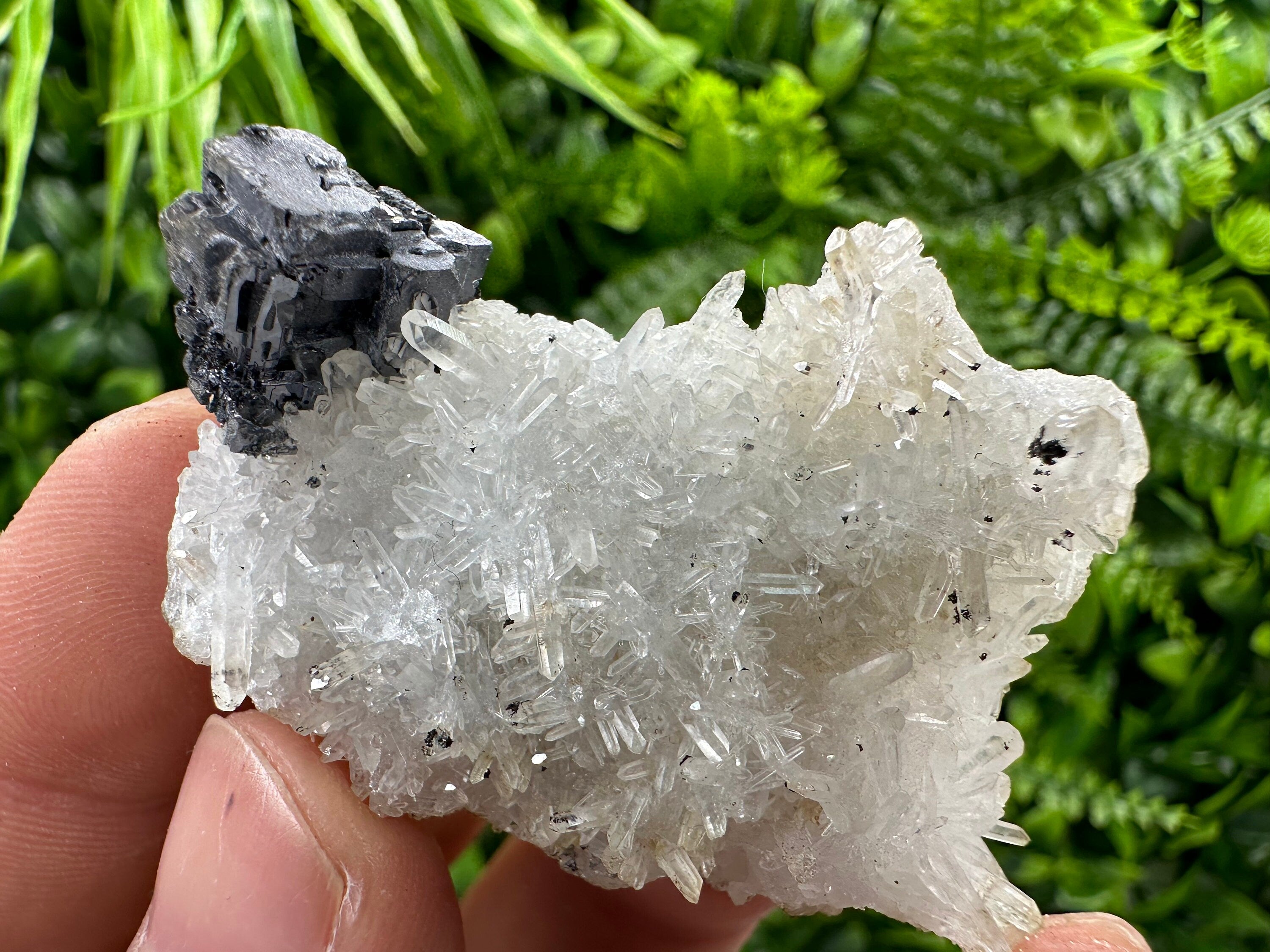 Galena on Quartz, Natural Crystal Mineral Specimen