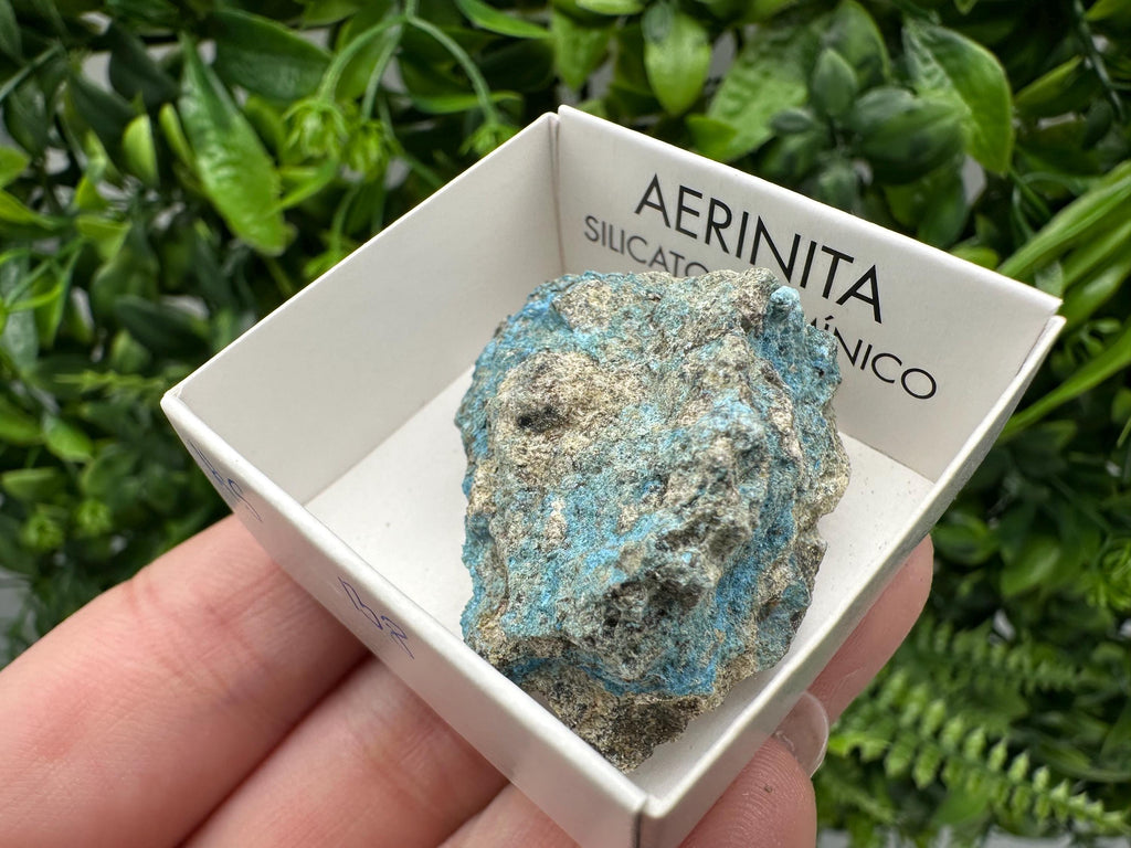 Rare Raw Aerinite Mineral Specimen: Lleida, Spain Crystal