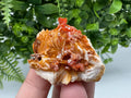 Red Vanadinite on Barite Crystal Specimen, Moroccan Mineral Cluster