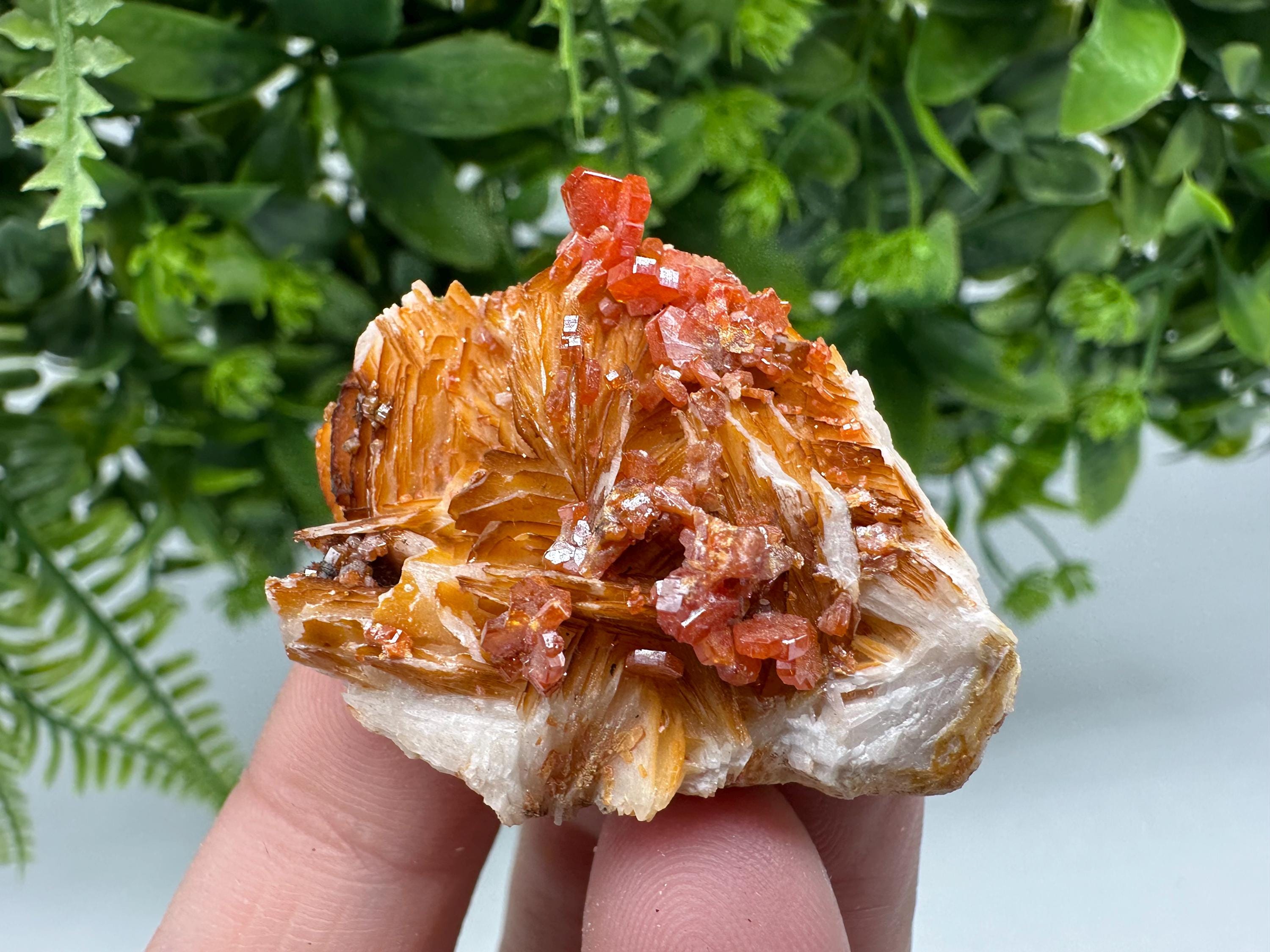 Red Vanadinite on Barite Crystal Specimen, Moroccan Mineral Cluster