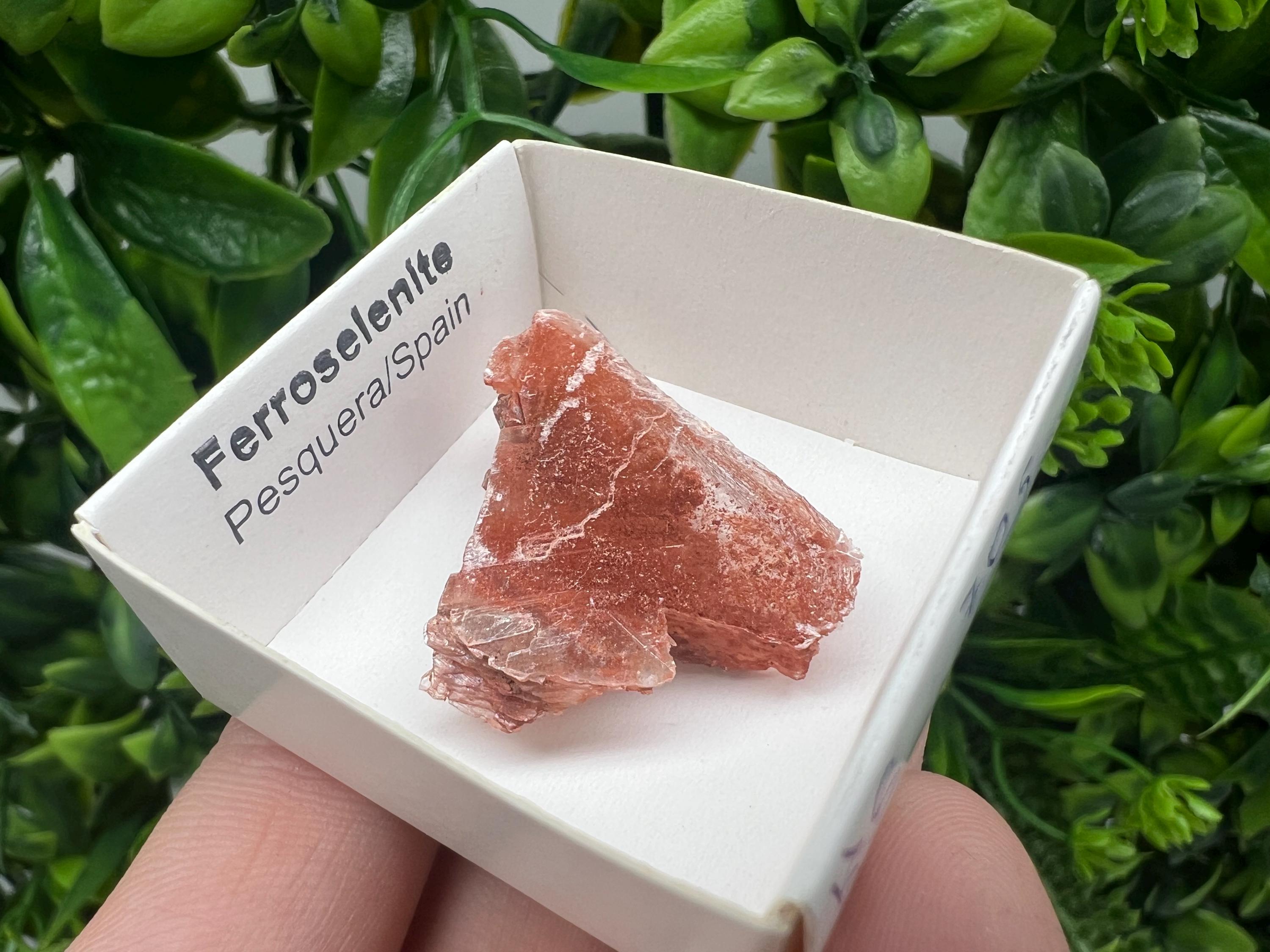 Rare Ferroselenite Crystal Specimen: La Pesquera, Spain (3/3 cm
