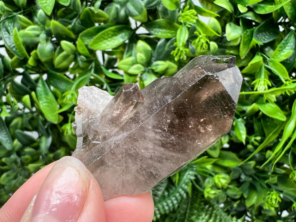 Rare Smoky Quartz,mineral specimen,collection crystal,minerals,Smoky Quartz crystal,from BRAZIL,rare Smoky Quartz,home decor,wholesale,cls