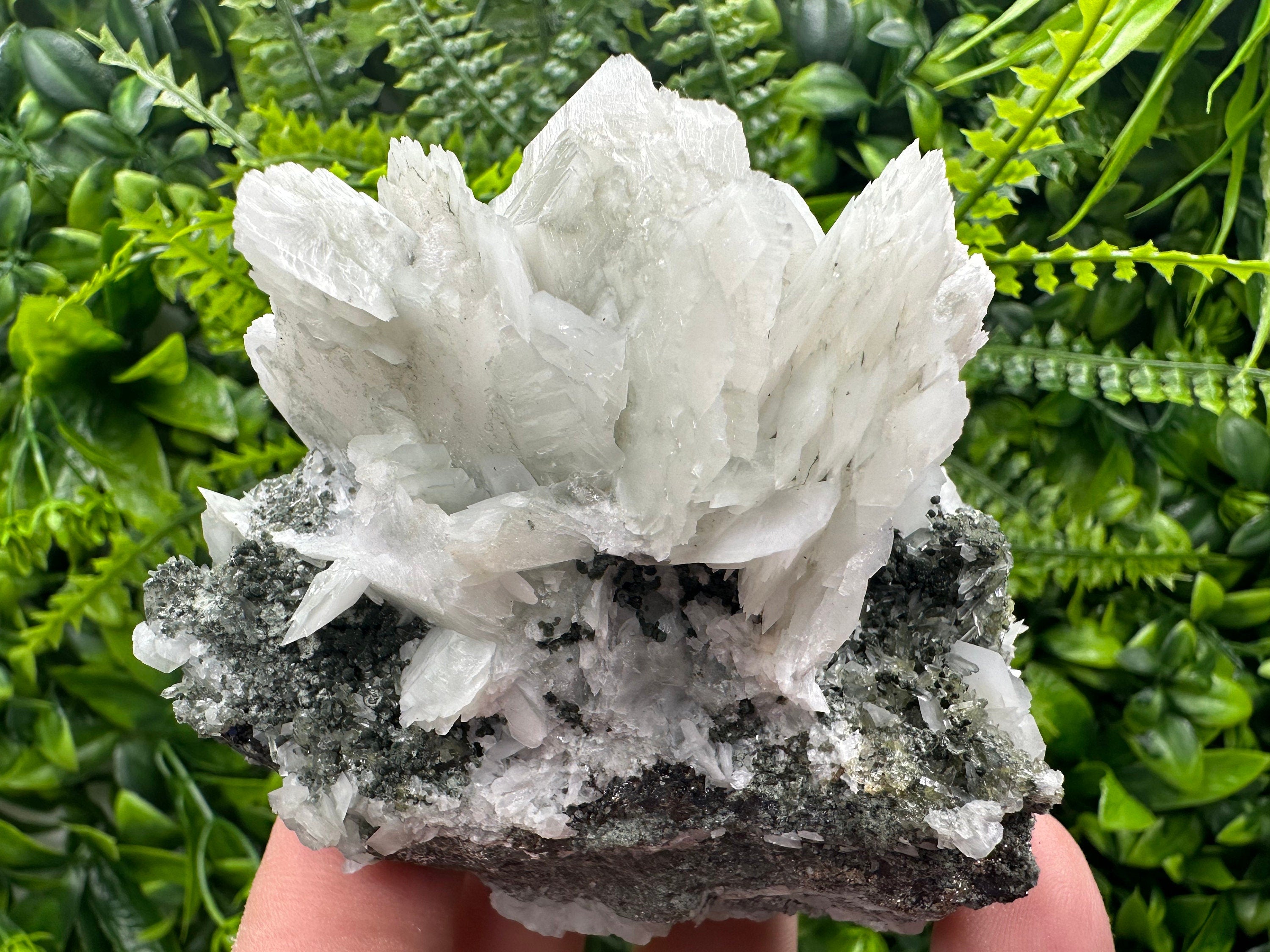 Calcite on Quartz with Epidote Mineral Specimen: Borieva Mine, Bulgaria