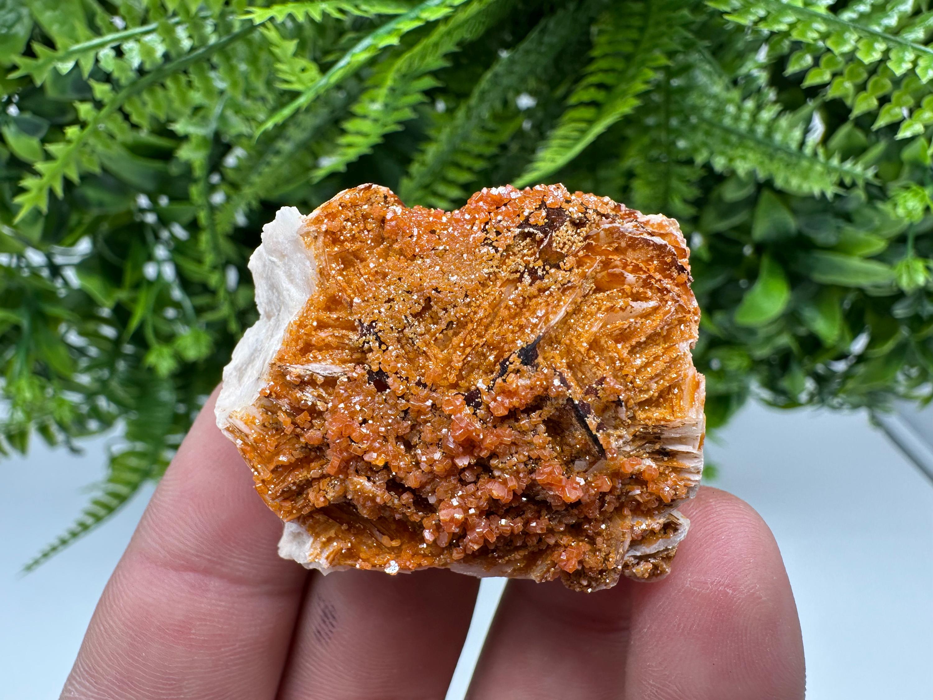 Red Vanadinite on Barite, Morocco Crystal Specimen