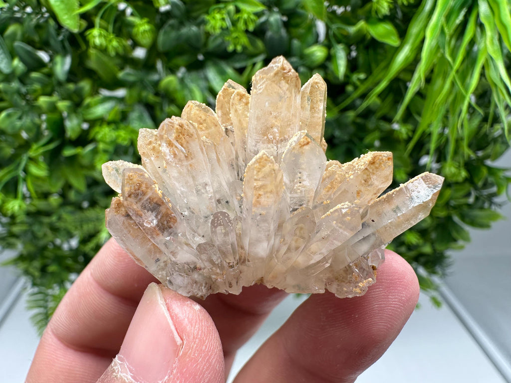 Transparent Quartz whit Siderite 9th September mine Bulgaria natural minerals souvenir crystal stone gift minerals collection rock