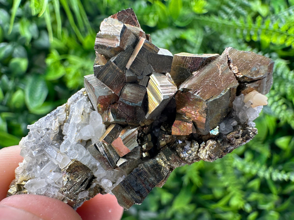 Pyrite on Quartz Specimen, Borieva Mine, Bulgaria