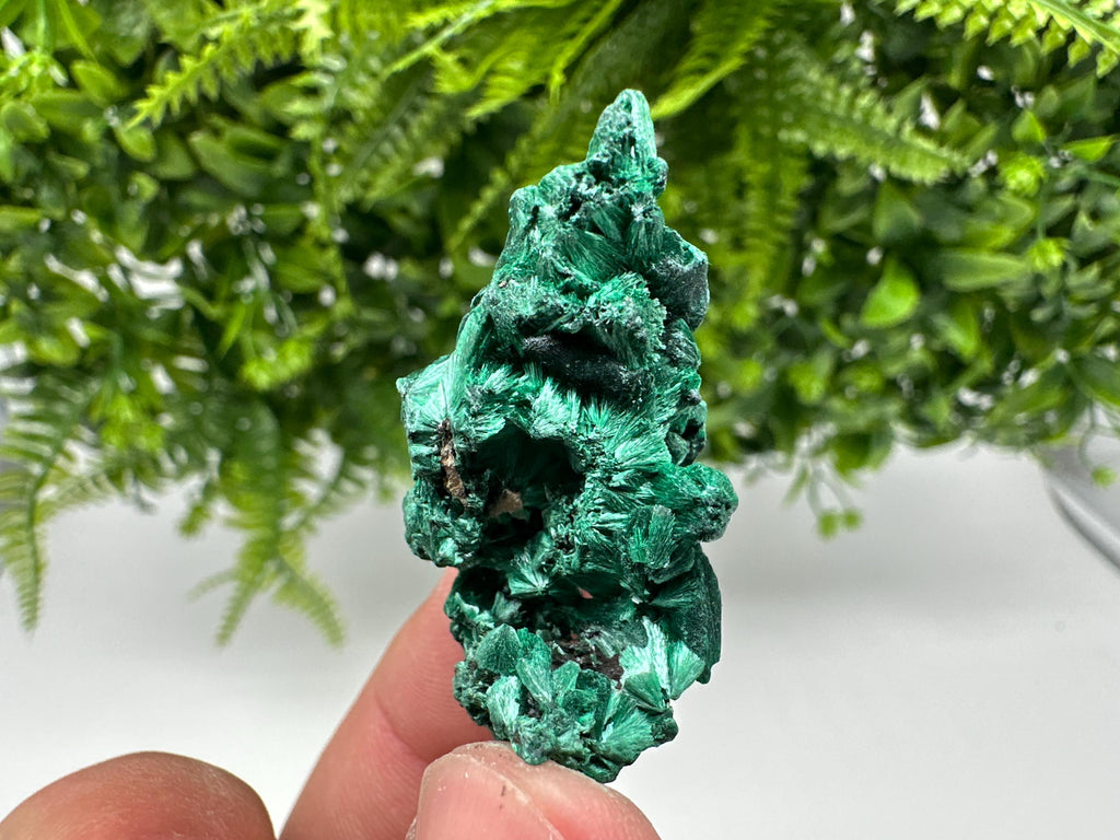 Malachite Crystal from Congo,Minerals,Crystals from Congo,Green Malachite, Malachite,Natural Malachite,Malachite Stone,Chakra, Specimens