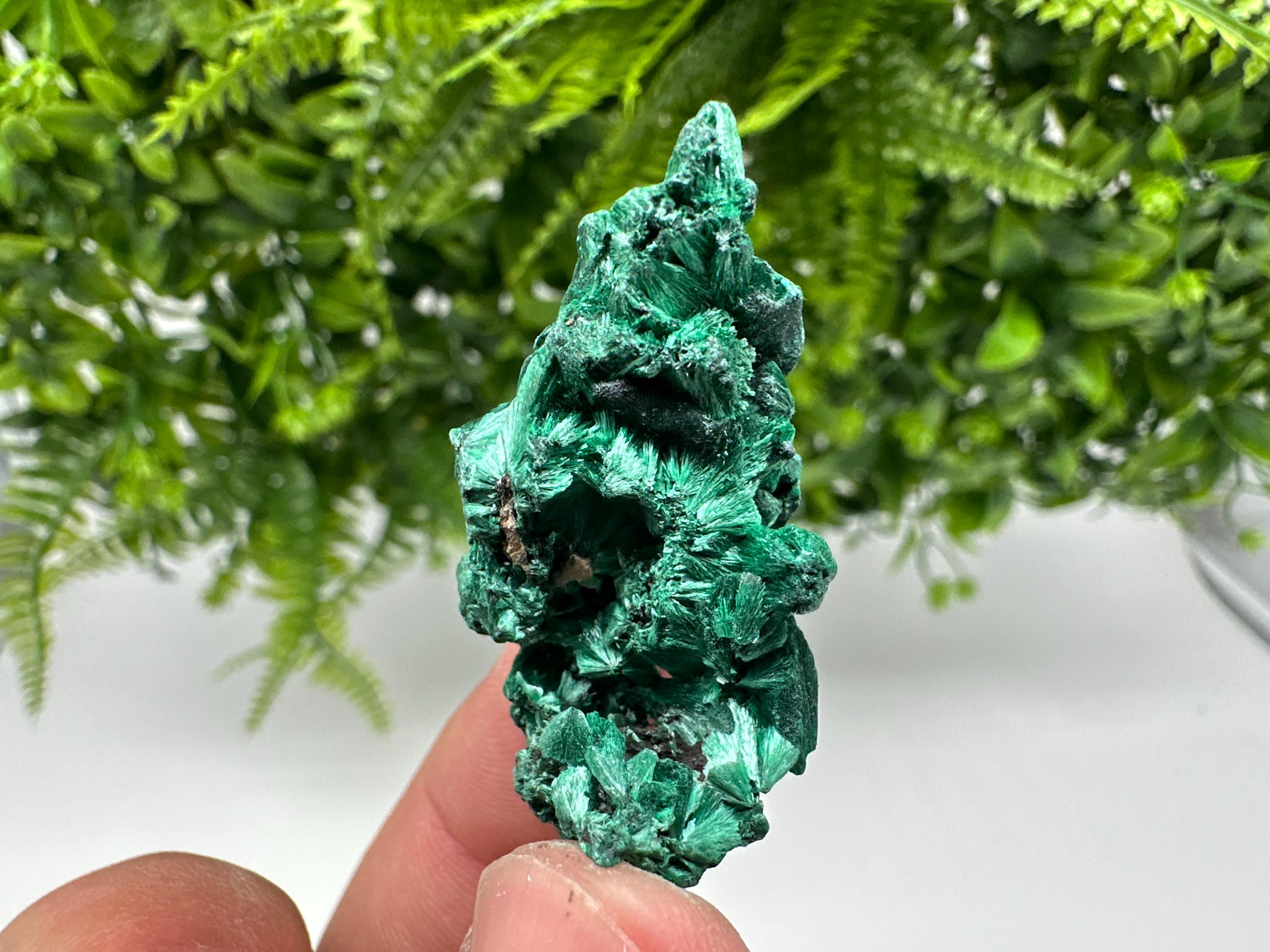 Malachite Crystal from Congo,Minerals,Crystals from Congo,Green Malachite, Malachite,Natural Malachite,Malachite Stone,Chakra, Specimens
