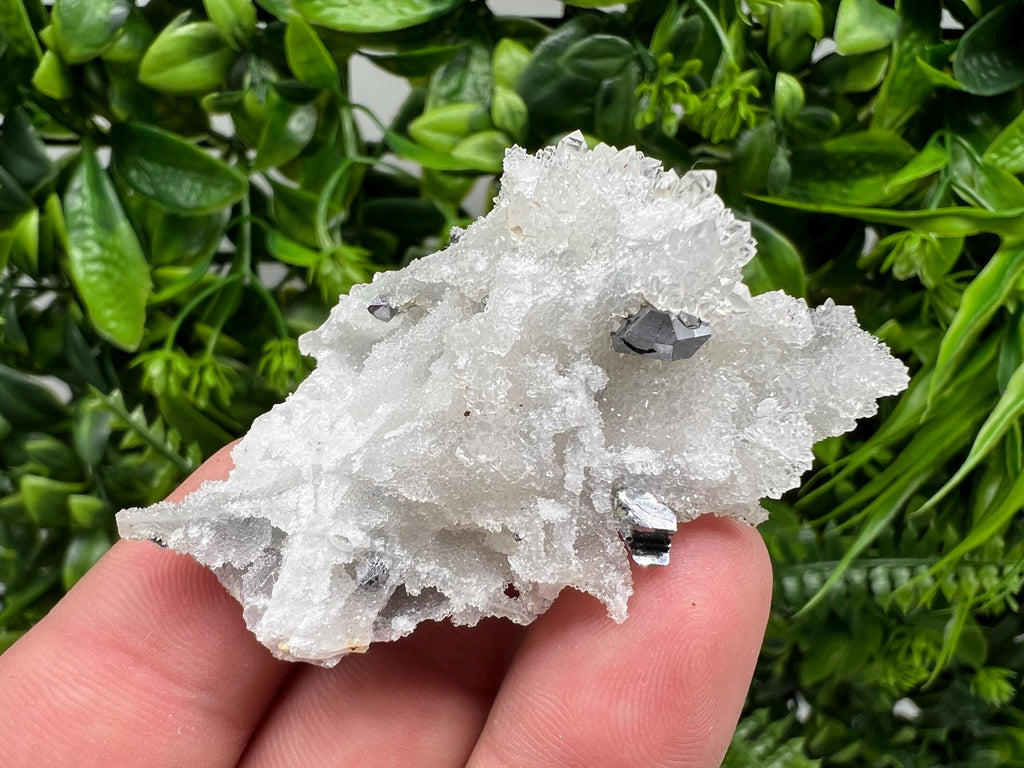 Galena on Chalcedony Specimen: Krushev Dol Mine, Bulgaria