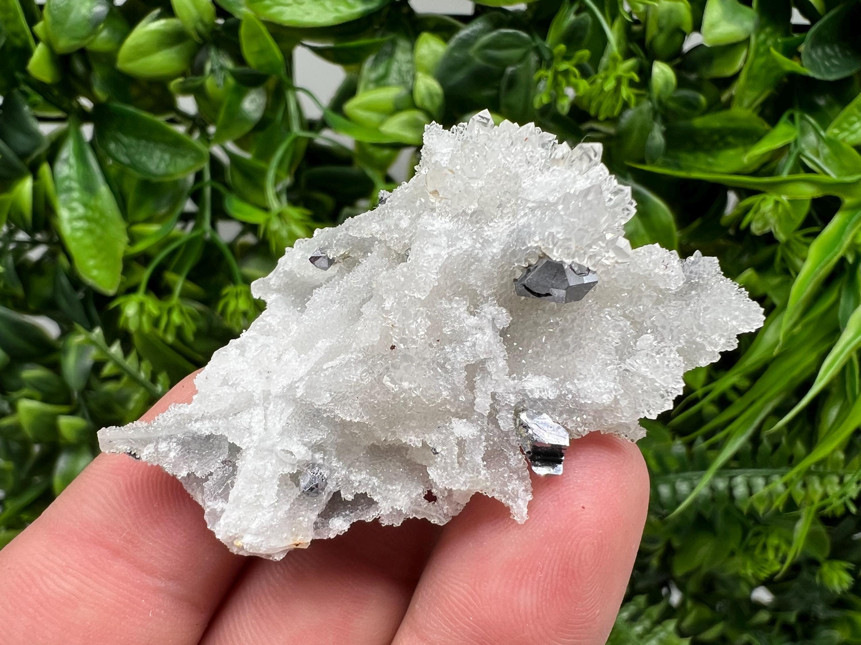 Galena on Chalcedony Specimen: Krushev Dol Mine, Bulgaria