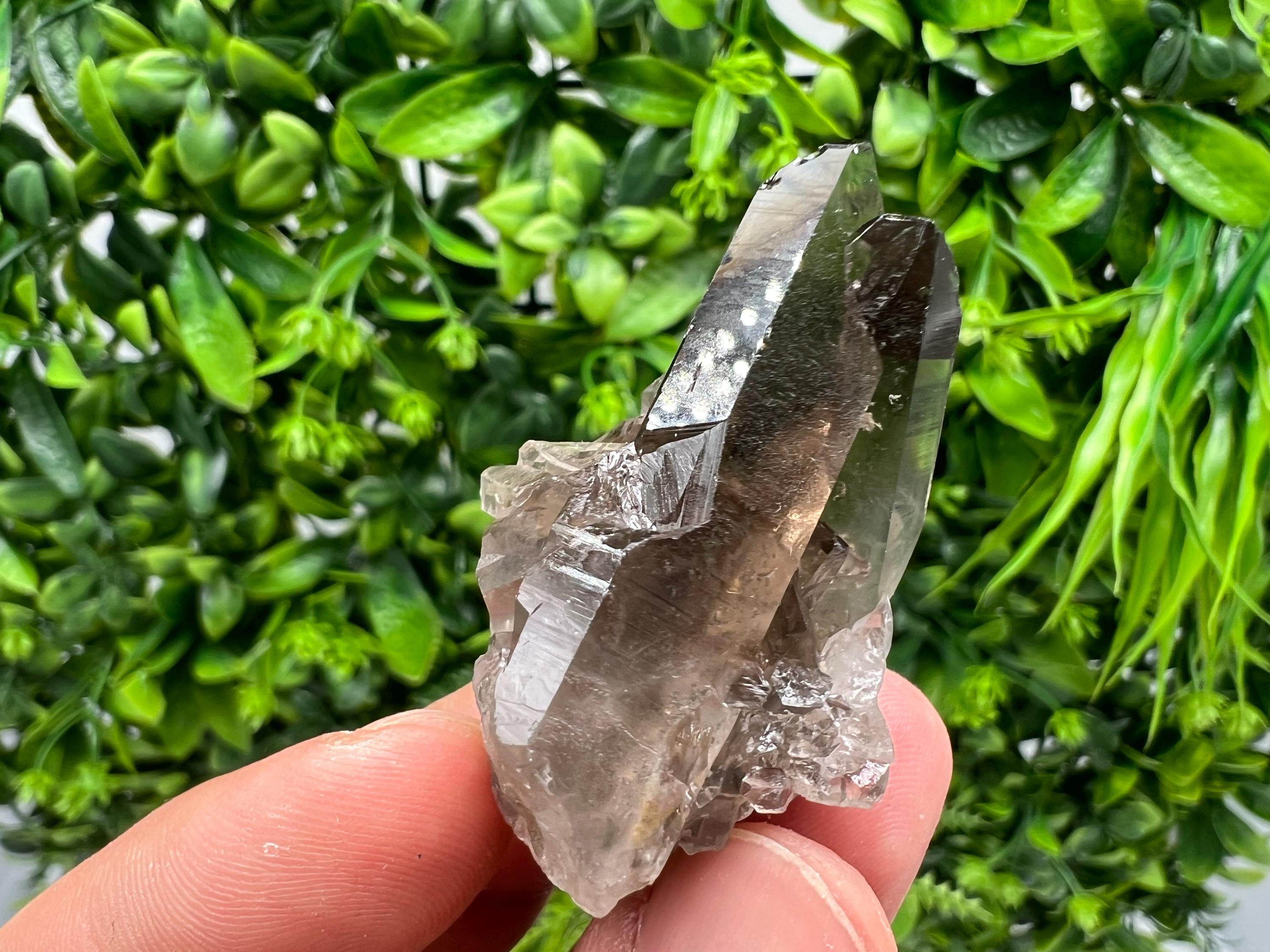 Rare Smoky Quartz Crystal Specimen: Mineral Collection, Brazil