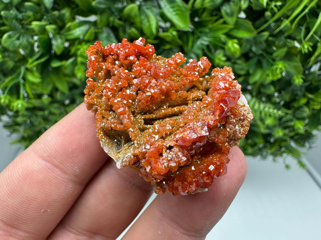 Red Vanadinite on Barite from Marocco,crystal minerals Speciment cluster Vanadinite crystal Vanadinite Geology Vanadinite cluster minerals