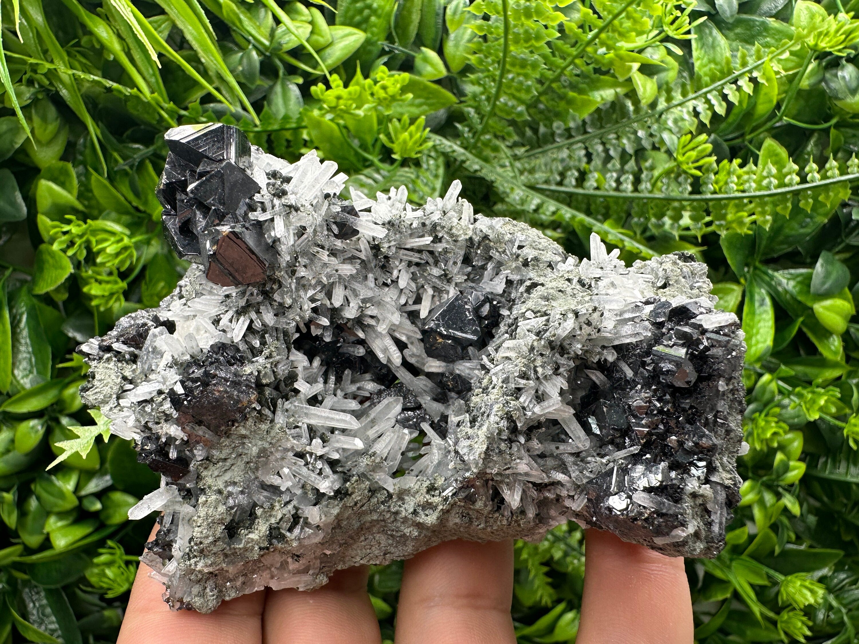 Sphalerite on Quartz Cluster: Borieva Mine, Bulgaria