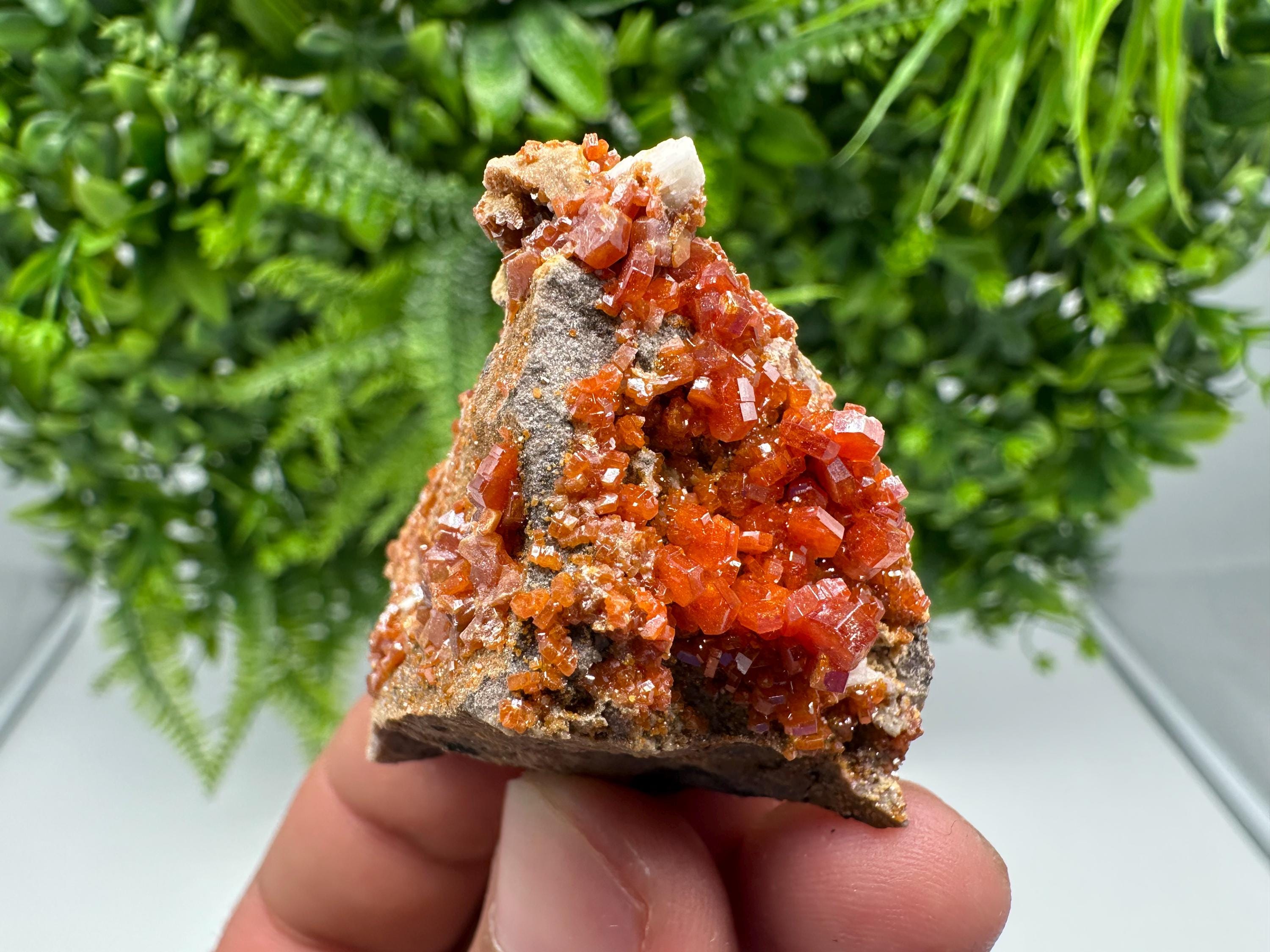 Red Vanadinite on Barite from Marocco,crystal minerals Speciment cluster Vanadinite crystal Vanadinite Geology Vanadinite cluster minerals