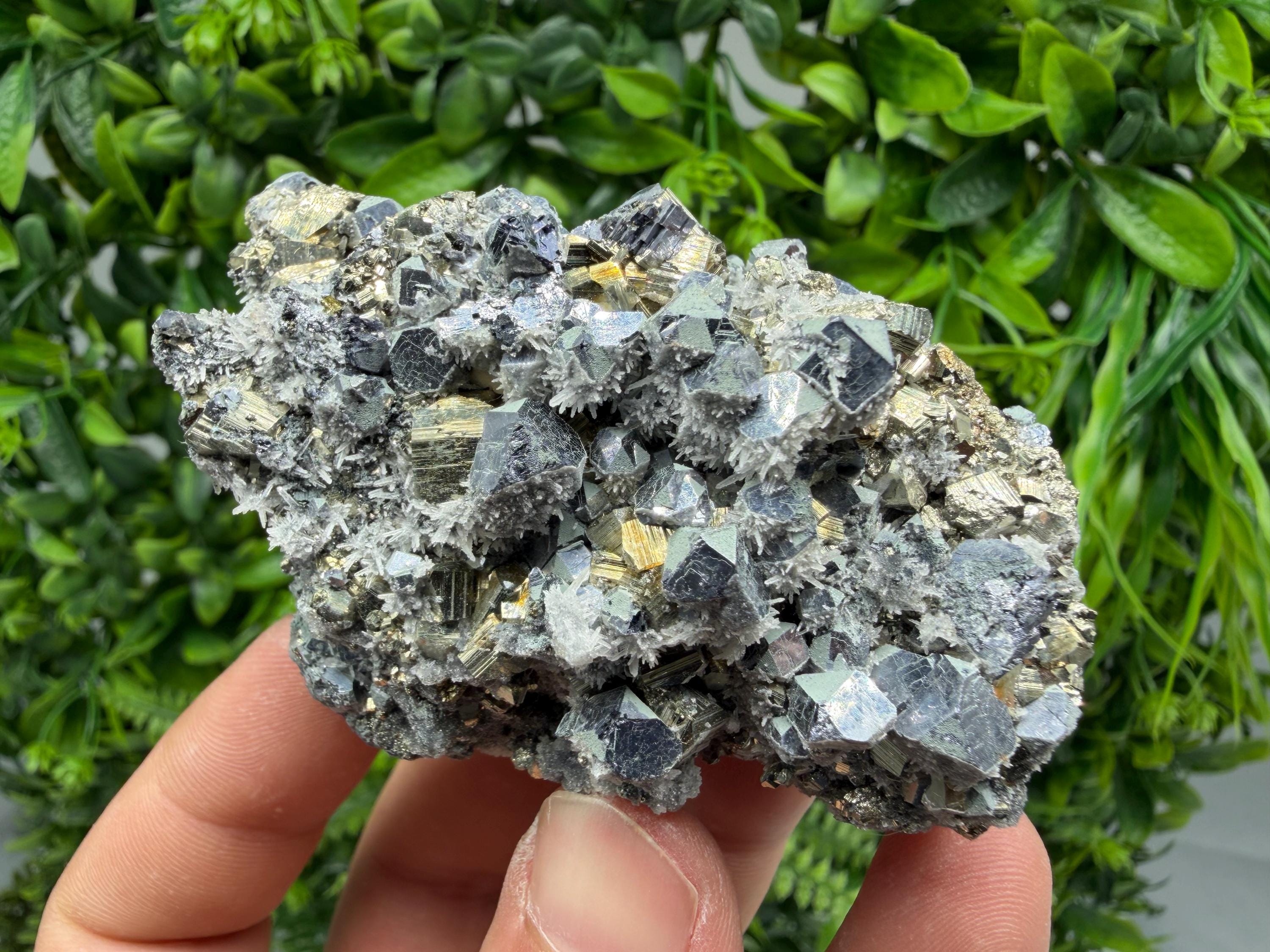 Pyrite Sphalerite Quartz  Mineral Specimen, Krushev dol Mine