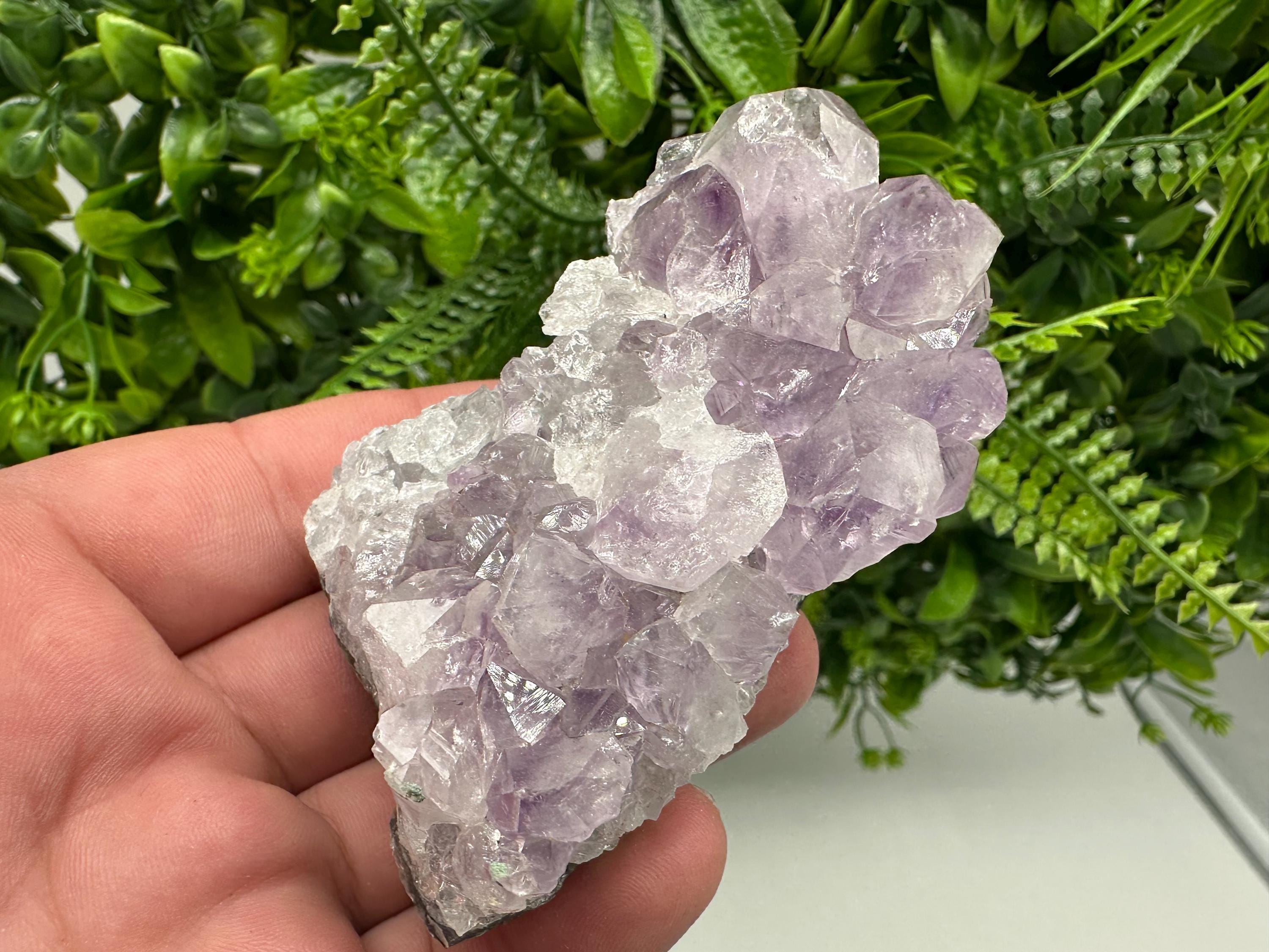 Brazilian Amethyst Cluster, Purple Quartz Specimen