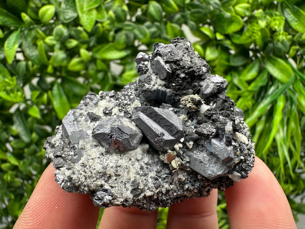 Stunning Shpinel Galena on Sphalerite from Borieva mine,Madan,Bulgaria,Natural,collectible mineral specimen,home decor,collectible’s crystal