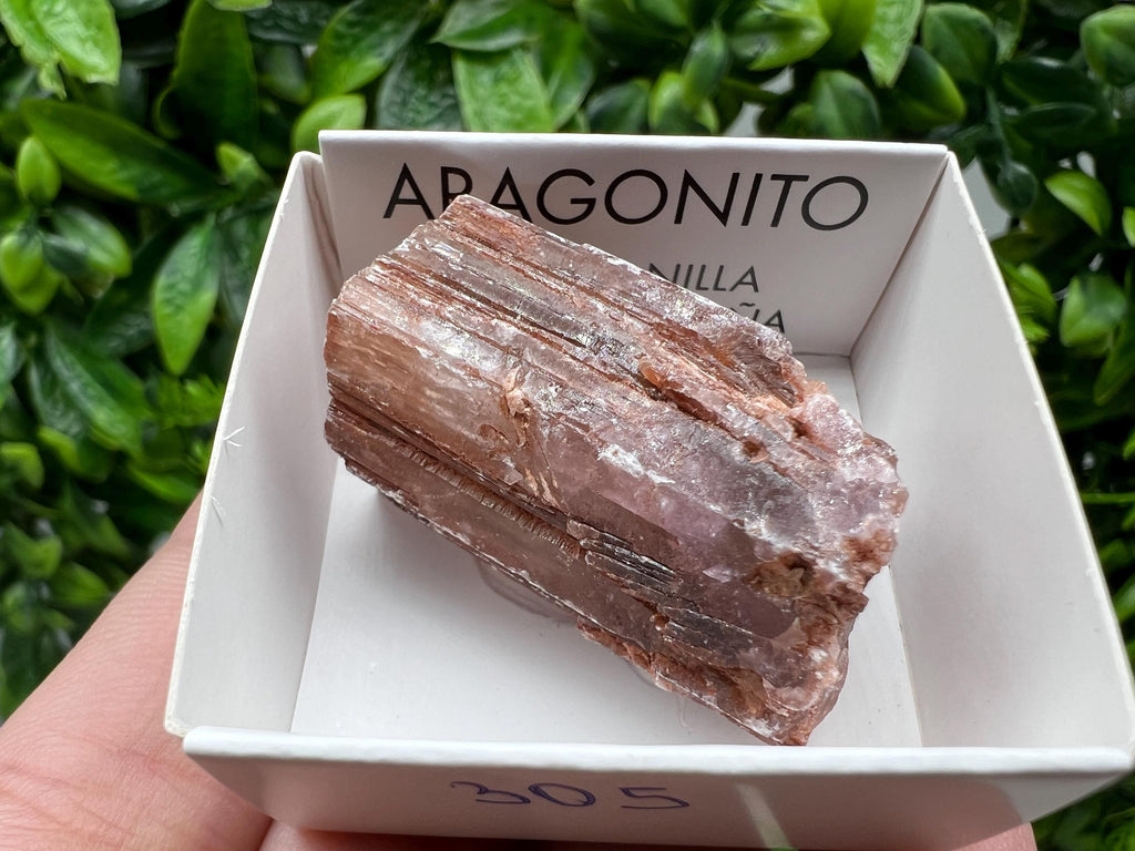 Amazing Aragonite from Spain,Aragonite crystal,cluster,natural,mineral,specimen,Purple Aragonite,Spanish Aragonite,Mineralcollection