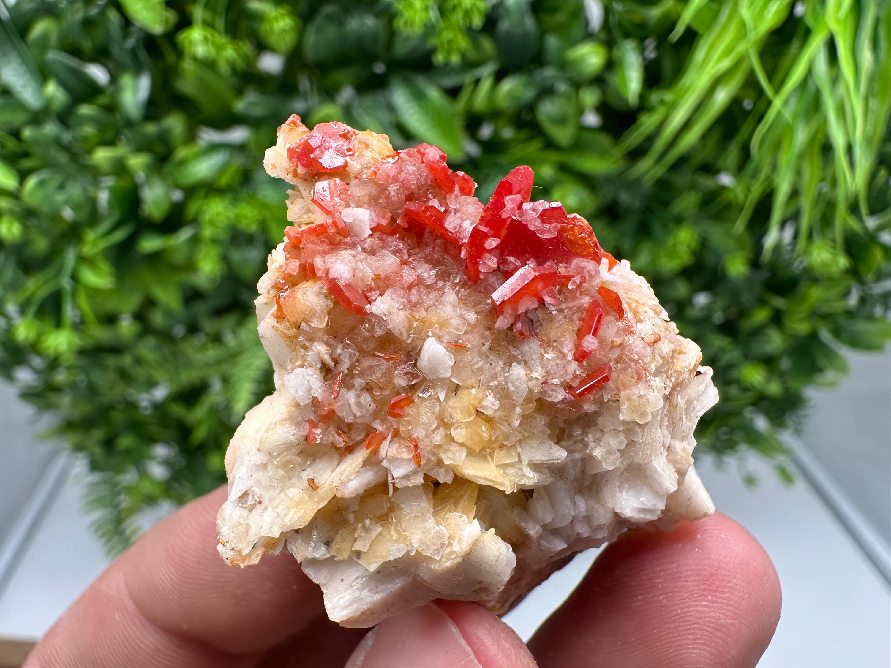 Red Vanadinite on Barite from Marocco,crystal minerals Speciment cluster Vanadinite crystal Vanadinite Geology Vanadinite cluster minerals
