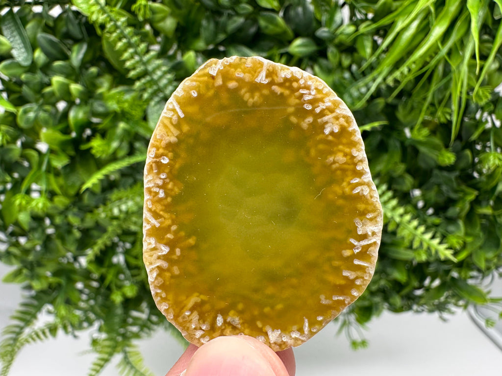Agate Slice: Spiritual Healing Crystal Coaster Ornament