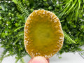 Agate Slice: Spiritual Healing Crystal Coaster Ornament