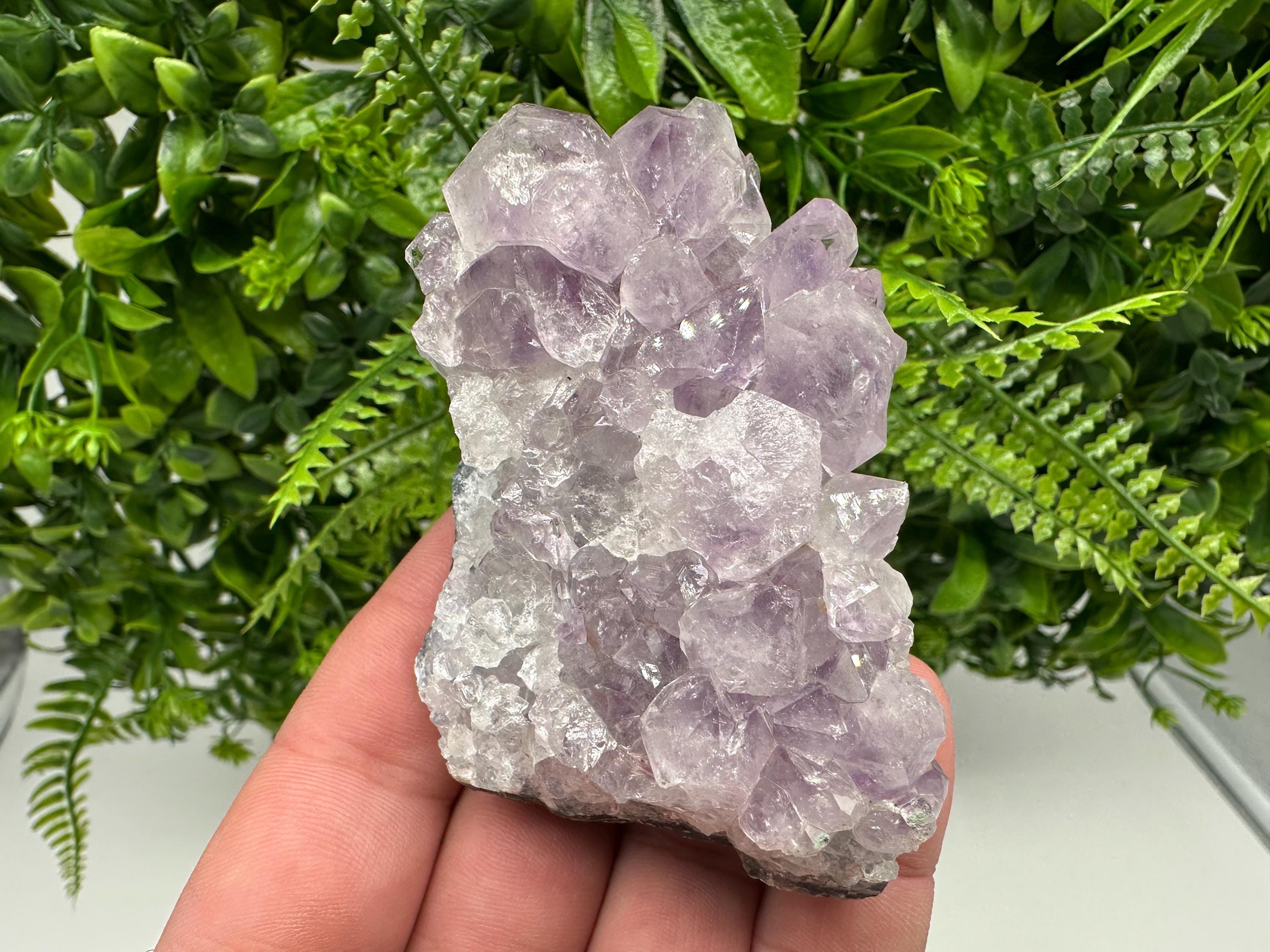 Brazilian Amethyst Cluster, Purple Quartz Specimen
