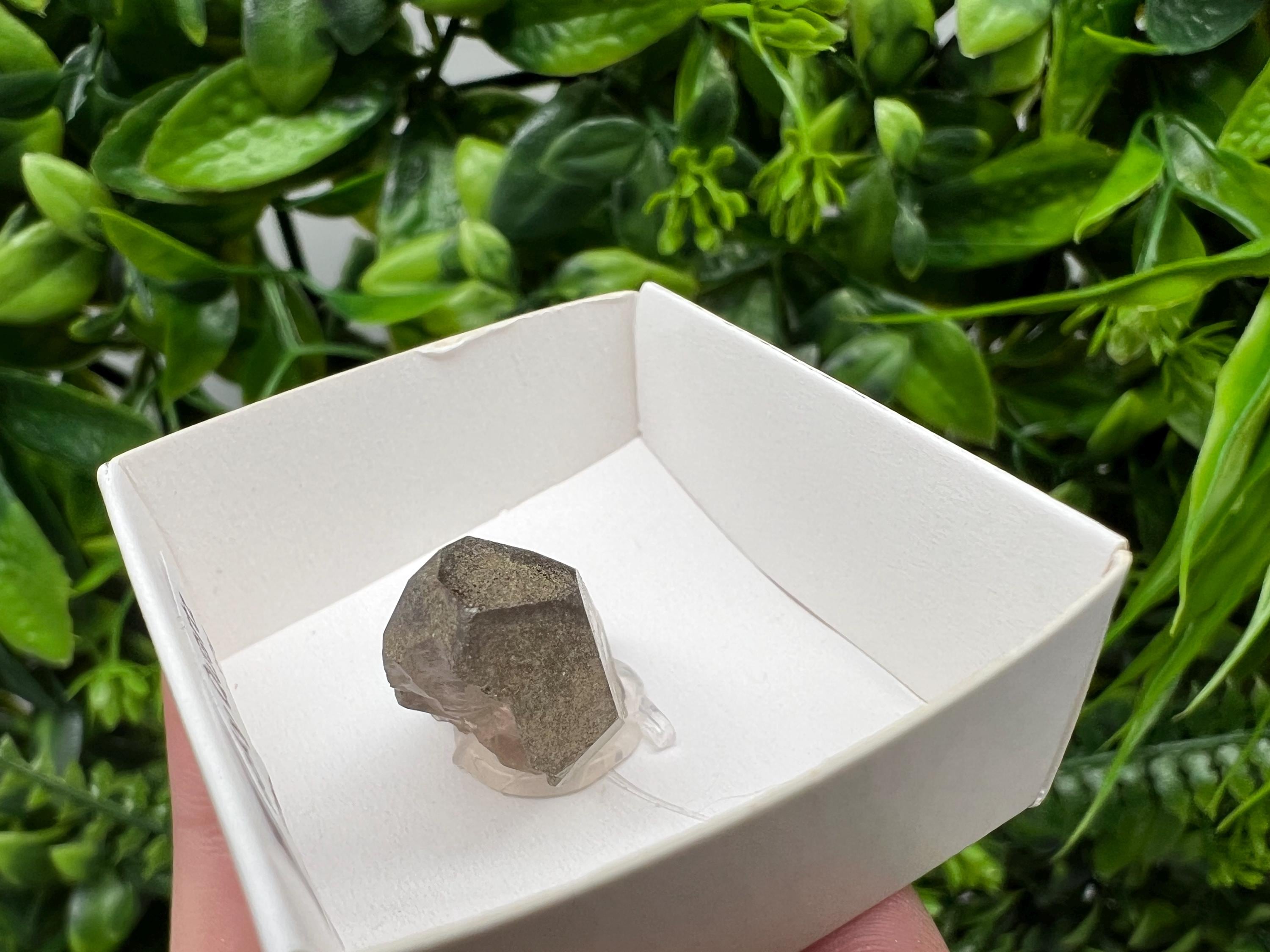 Rare Fedenstock Smoky Quartz Point, Switzerland Mineral Specimen (25MM)