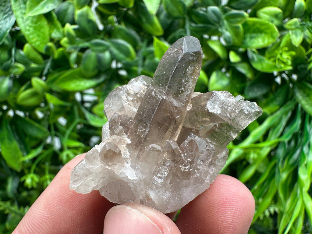 Rare Smoky Quartz Crystal Cluster, Brazil Mineral Specimen
